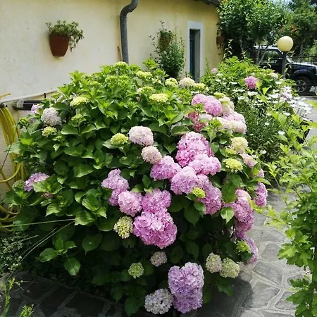 Il Ghiaio *